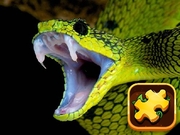 Snake Puzzle Challenge Game