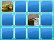 Zoo Match Game Online